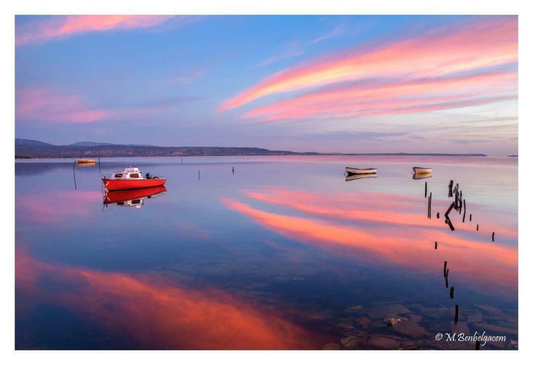Studio Calme Au Coeur De Canet - 21 - Dış mekan fotoğraf